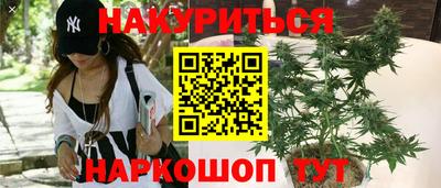 прущие грибы Комсомольск-на-Амуре