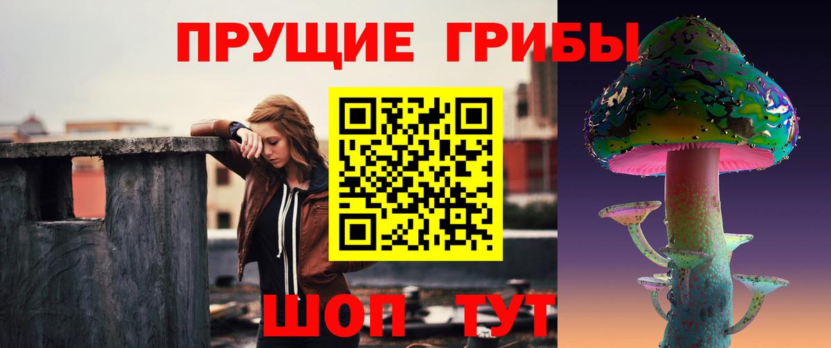 Псилоцибиновые грибы GOLDEN TEACHER  Вход с VPN  сколько стоит  Псилоцибиновые грибы прущие грибы  Королёв 