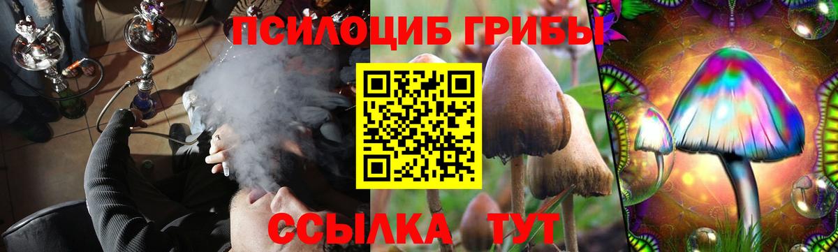 Галлюциногенные грибы GOLDEN TEACHER Королёв